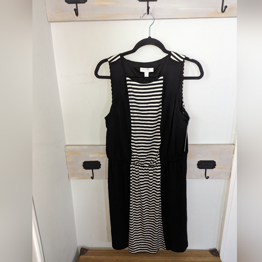 Ivy and Blu brand New dress sz 12